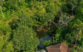 Hotel Tattva Retreat & Wellness